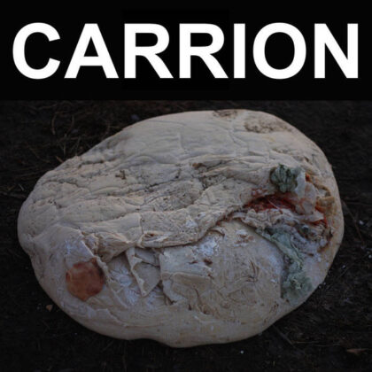 RECITATION - Carrion