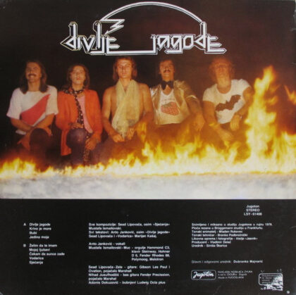 DIVLJE JAGODE - Divlje Jagode